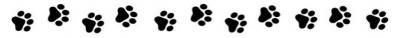 Paw Prints Divider